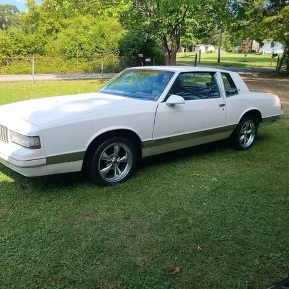 Meet your Posher, Hector